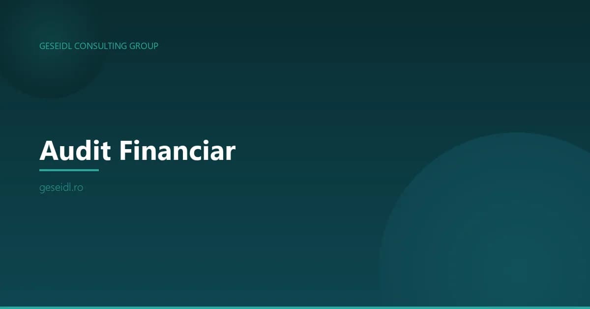 Audit Financiar: Raportări anuale și termen D205 — Februarie 2026