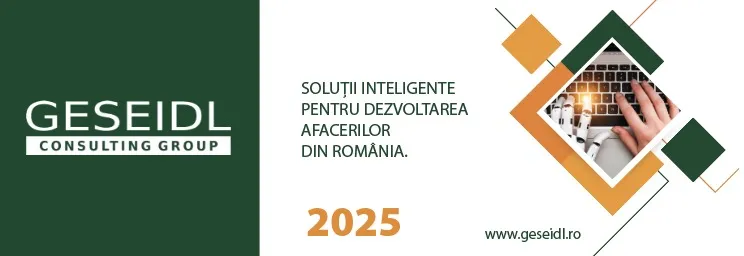 Geseidl - Soluții inteligente pentru dezvoltarea afacerilor în România